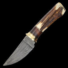 Old Ram Damascus Steel (256-Layer) 7.25" Fixed Blade Hunting Knife Stag Antler Handle