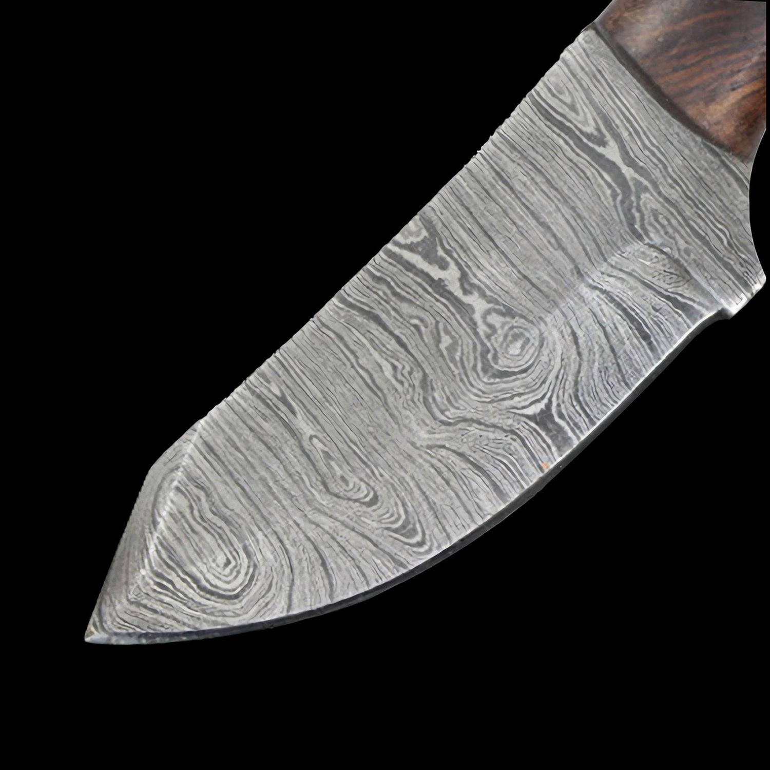 Old Ram Damascus Steel (256-Layer) 6.25" Fixed Blade Hunting Knife Dark Wood Handle