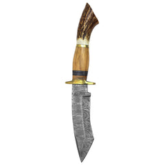 Damascus Steel 10.5" Hunting Knife Wood & Stag Handle