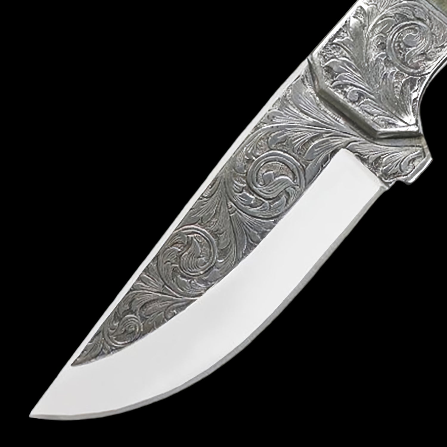 Custom Hand Engraved D2 Steel Knife - Camel Bone Handle