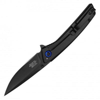 Black Raven Spring Assisted Knife Blue Inlay